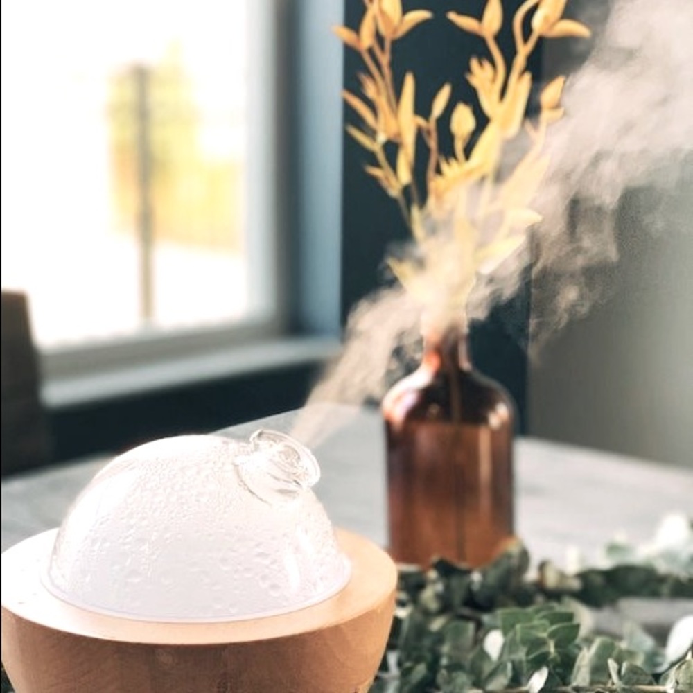 Searching for ARIA DIFFUSER